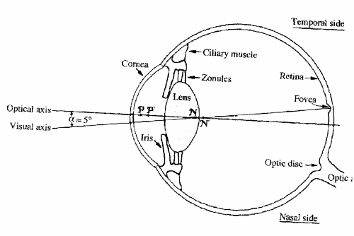 fig3-57eyesysTN.gif Human Eye Diagram 150x101
