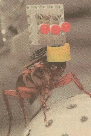 fig5-17TN.jpg Insect Robot showing controls attached to insect (U. of Japan) 300x450