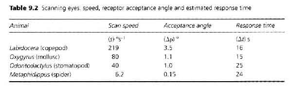 fig5-21aTN.jpg Table Showing Examples Of Scanning Eyes 179x600