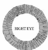 fig6-15TN.jpg Iris Health Diagram Model for Right Eye 200x209