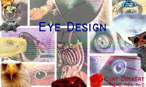 eyelogo-orig.jpg Eye Design Title Page 500x300